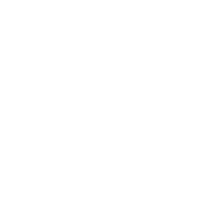 IP选型和定制化服务